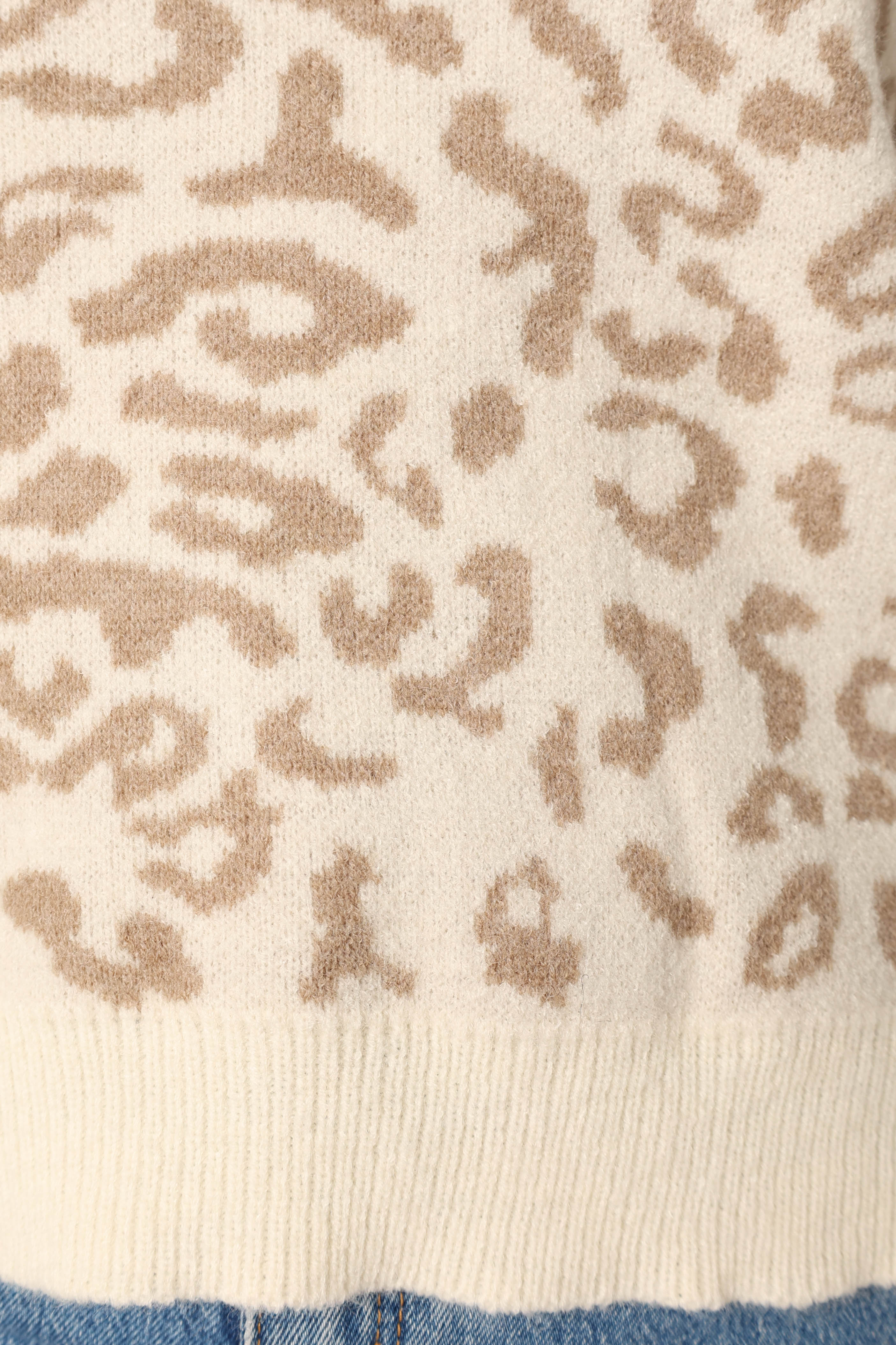 Cecilia Crewneck Leopard Print Knit Sweater for Women - Cozy Mocha Pullover for Fall & Winter | Casual Outfit, Office Wear, Date Night Fashion