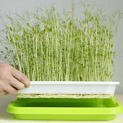 Organic BPA-Free Hydroponic Seed Sprouter Kit - 2 Pack Double Tier Grow Trays with Spray Bottle & 20 Grow Papers for Microgreens, Wheatgrass & Seed Germination - Perfect for Indoor Gardening, Healthy Eating & Urban Farming