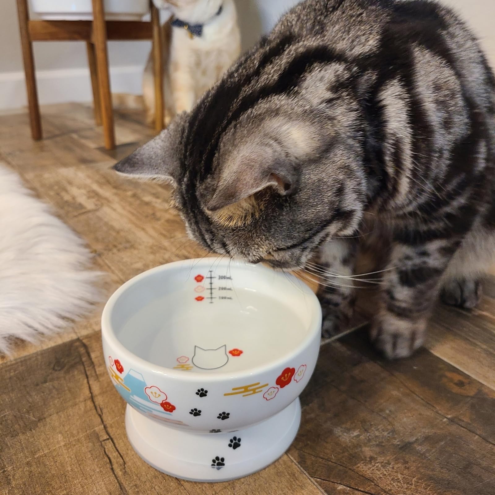 Necoichi Raised Cat Water Bowl with Measurement Lines - Elevated Pet Dish, Dishwasher & Microwave Safe - Fuji Limited Edition - Japan's No.1 Selling Cat Bowl for Healthy Hydration at Home or Office