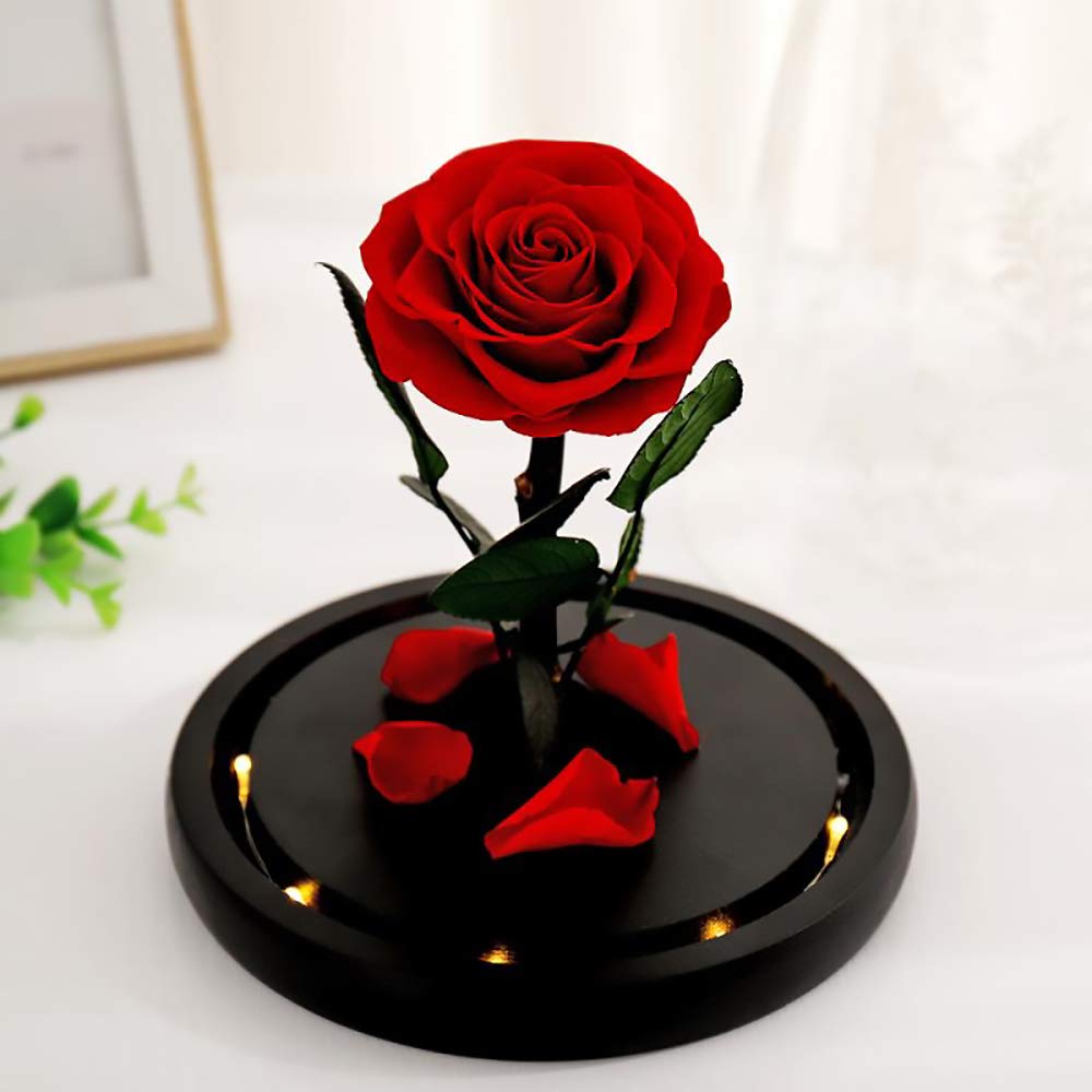 Beauty and The Beast Rose - Red Galaxy Glass Rose Handmade from Fresh Roses in Luxury Glass Dome - Perfect Valentine's Day, Mother's Day, Birthday Gift for Her - Romantic Home Decor & Special Occasion Present (1pc)