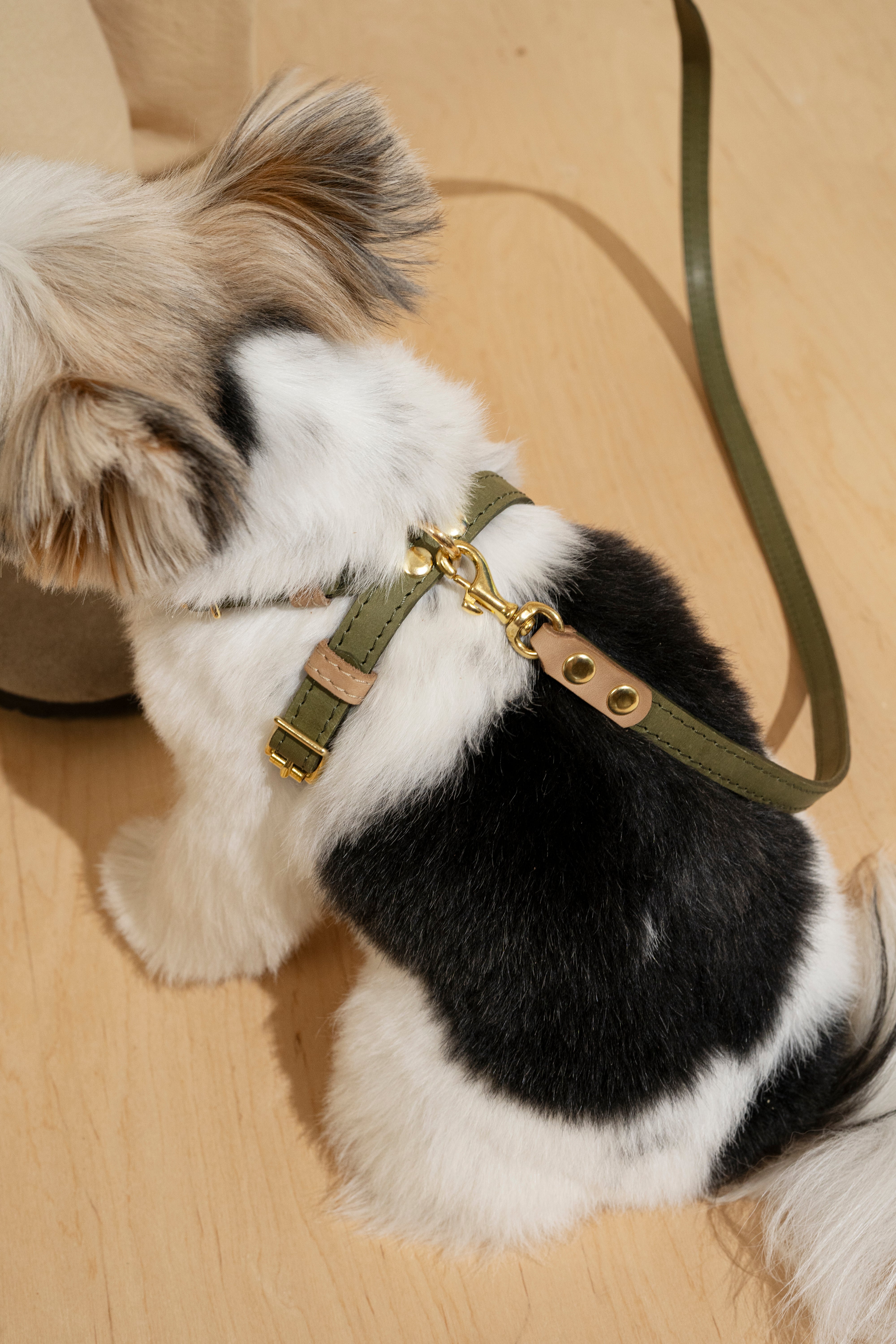 Premium Pony Harness for Walking - Green & Beige | Comfortable & Durable Pet Accessory for Training, Exercise, and Outdoor Adventures