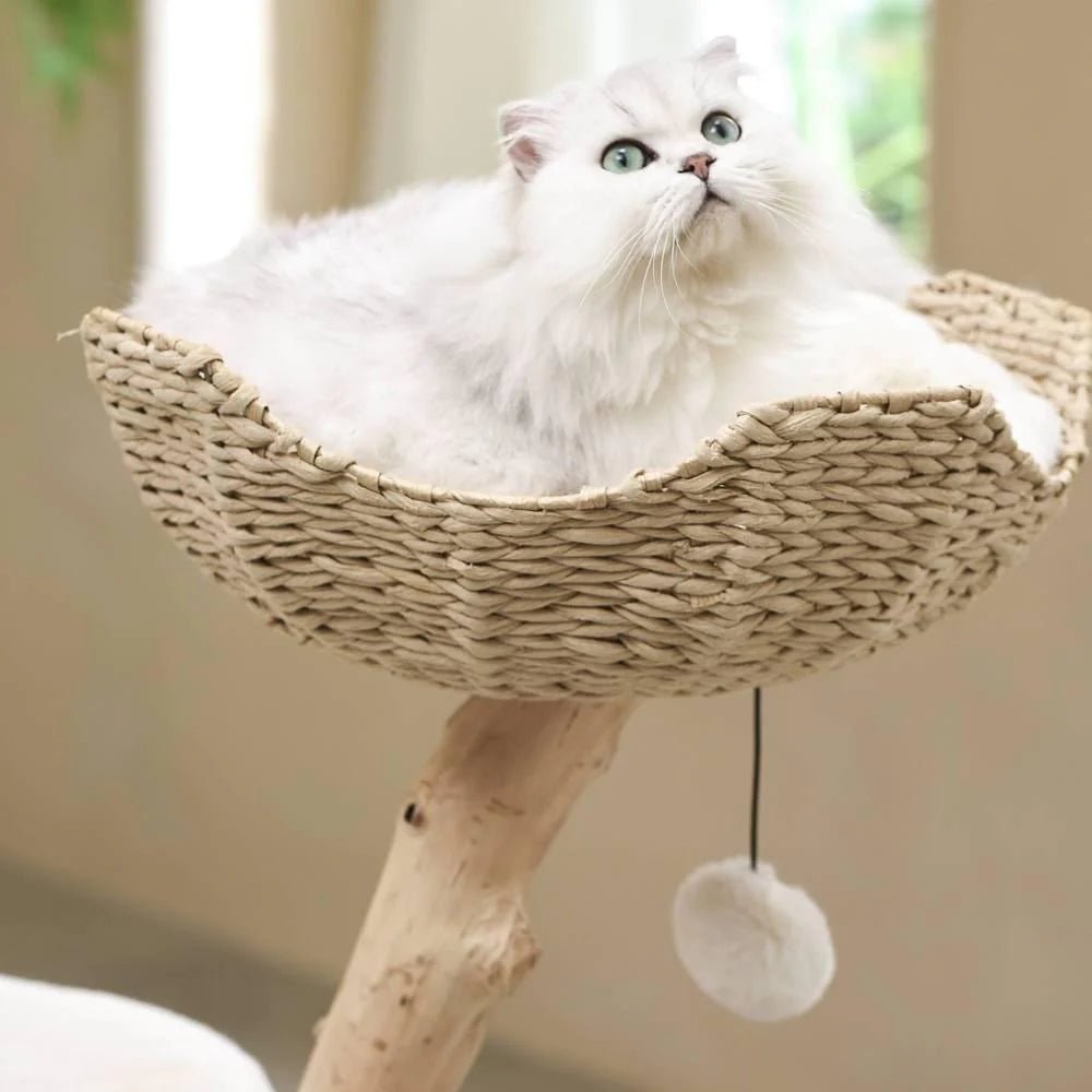Premium Real Wood Cat Tree for Indoor Cats - Medium Size, Sturdy & Durable with Scratching Posts - Perfect for Play, Climbing & Relaxing in Home or Office