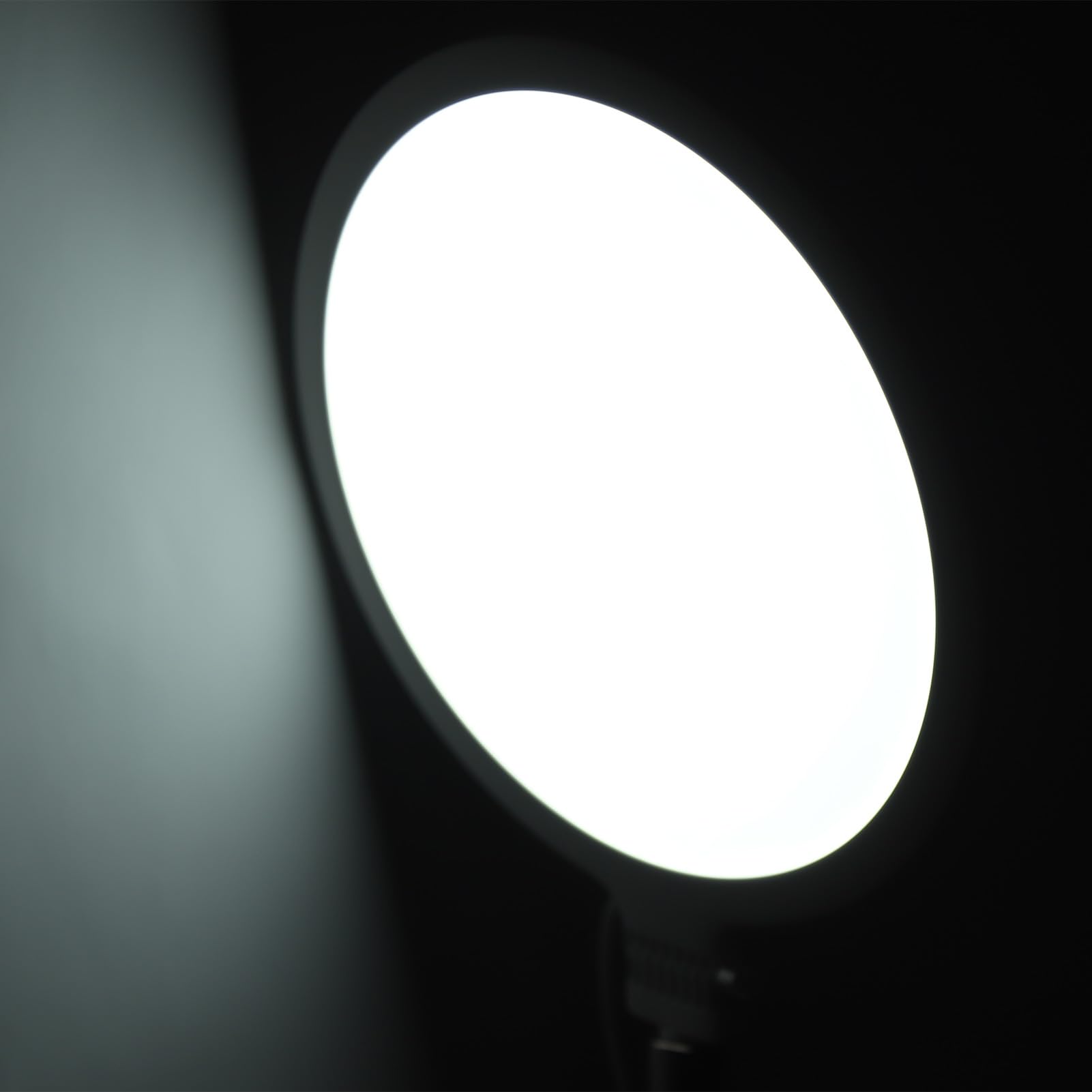 10 Inch Selfie Ring Light with Stand - Dimmable LED Makeup Light, Energy Saving, Anti-Blue Light, No Flicker for YouTube, TikTok, Live Streaming & Photography