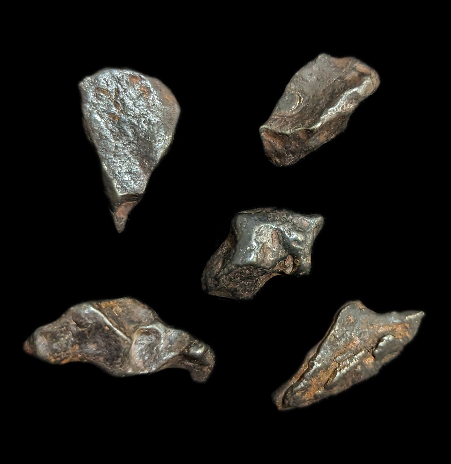 Agoudal Impact Meteorite Fragment - Genuine Space Rock for Collectors & Science Enthusiasts | Perfect for Display Cases, Educational Projects & Unique Gifts