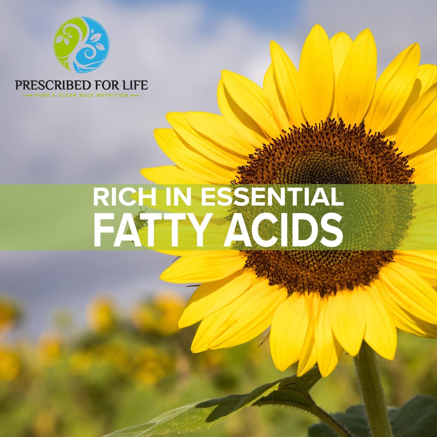 Prescribed For Life Sunflower Lecithin Powder - Unbleached, Gluten Free, Vegan, Non-GMO, Soy Free, Kosher - Rich in Choline & Essential Fatty Acids (5kg / 11lb) - Perfect for Smoothies, Baking & Brain Health Supplements
