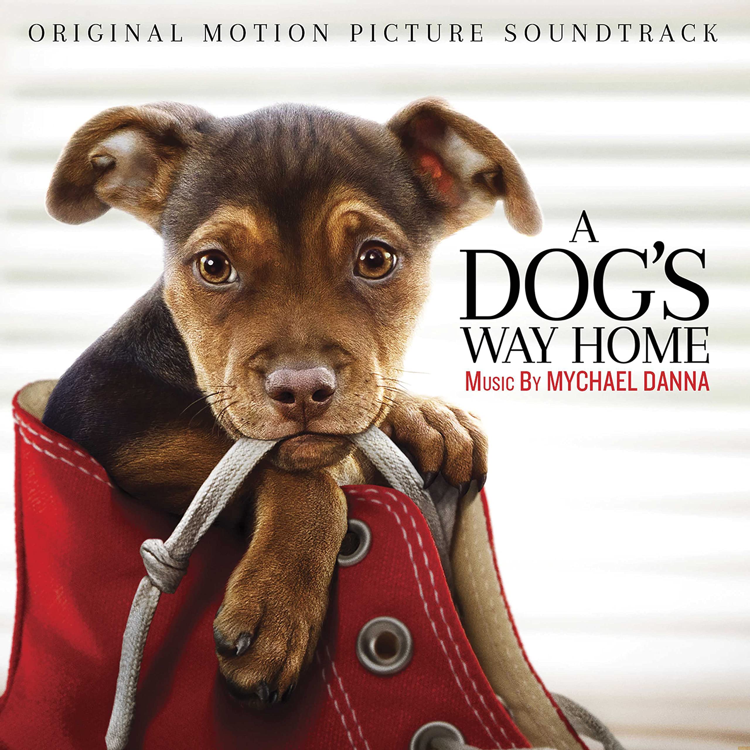 A Dog's Way Home Original Motion Picture Soundtrack - Uplifting & Emotional Music for Dog Lovers, Family Movie Nights & Relaxation