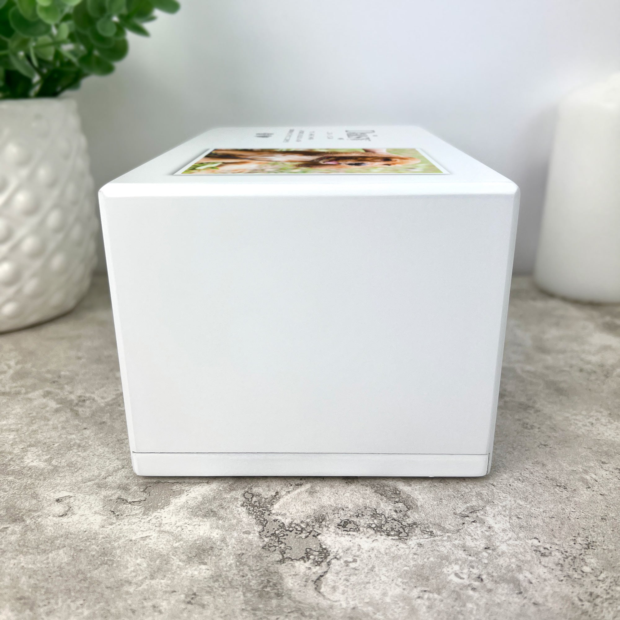 Personalized Heart & Paw Print Photo Large Pet Cremation Urn for Ashes | 1.44 Litres Capacity | Memorial Keepsake for Dogs, Cats & Beloved Pets | Perfect for Home Memorials & Pet Loss Grieving