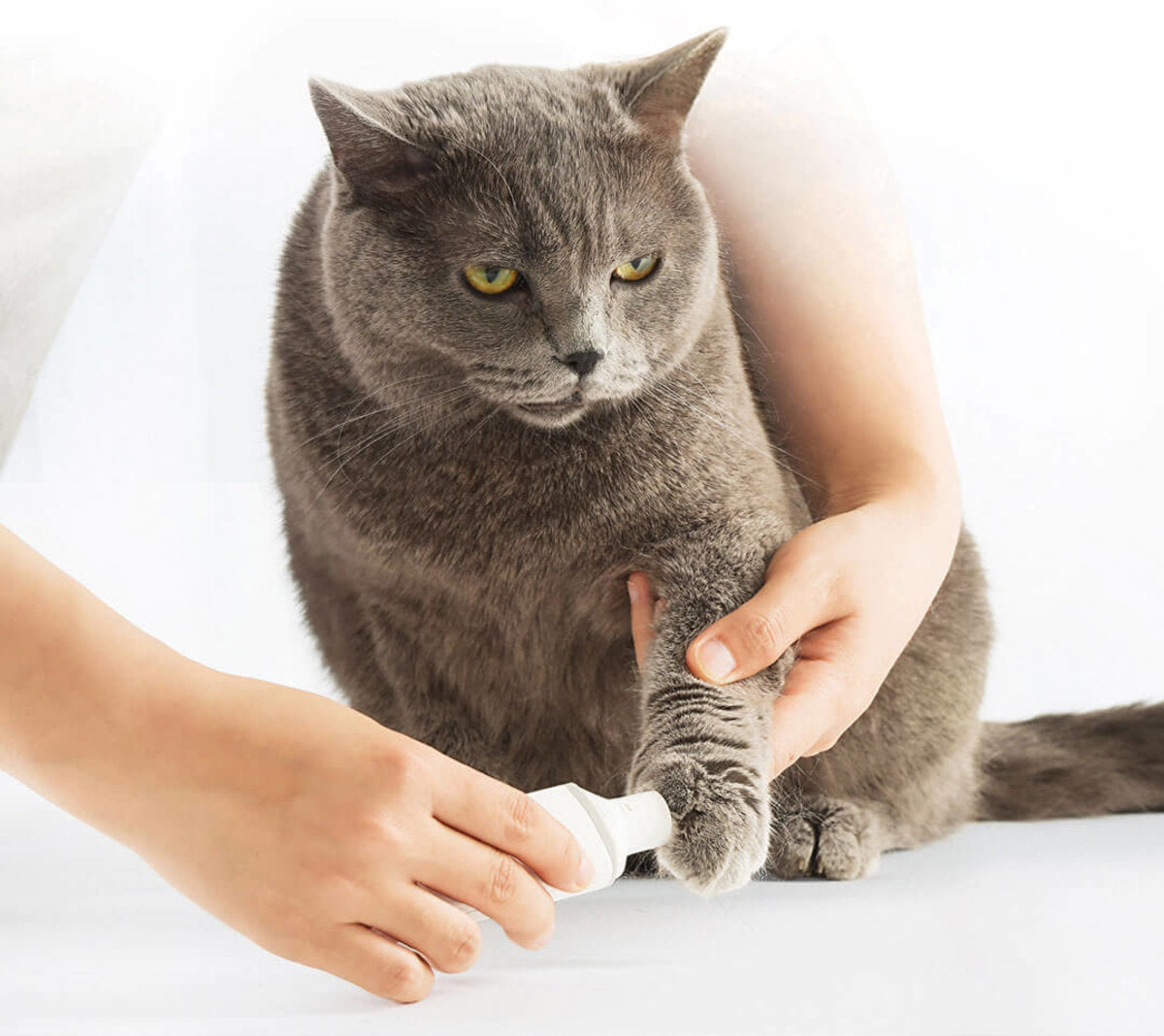 Pawbby Electric Pet Nail Grinder - Safe & Quiet Dog Cat Nail Trimmer with 2 Speed Settings - Perfect for Small to Large Pets at Home Grooming