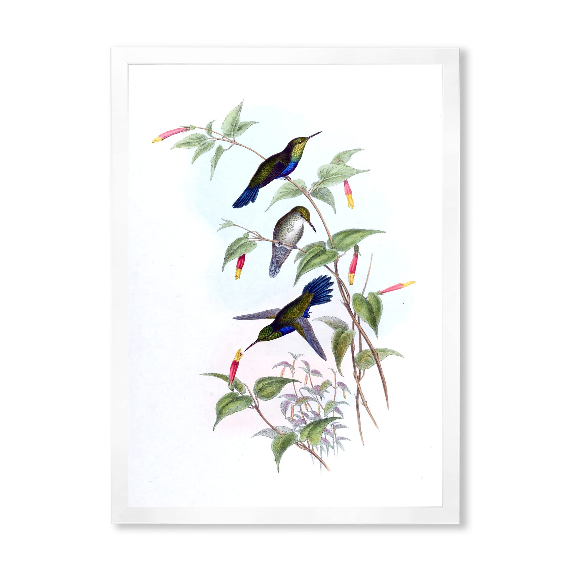 Vintage Hummingbird Wall Art - Traditional Framed Home Decor for Living Room, Bedroom & Office - Handcrafted Floral Painting for Rustic & Boho Interior Design