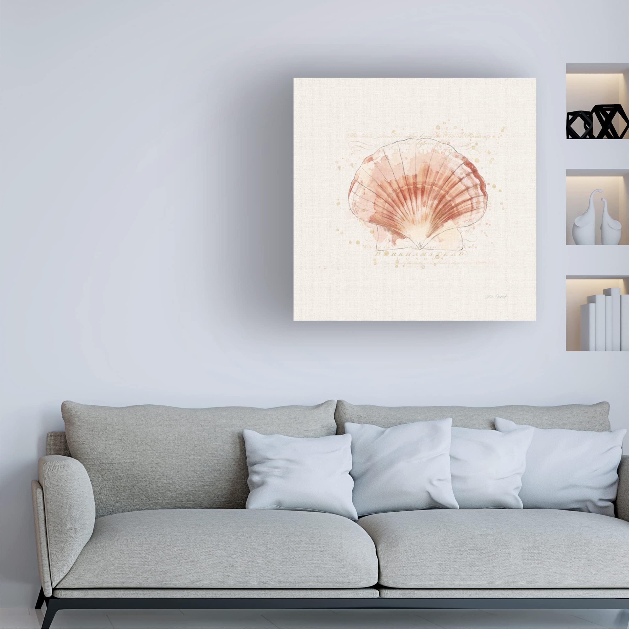 Trademark Fine Art 'Shell Collector IV' by Katie Pertiet - Stretched Canvas Wall Art for Beach House Decor, Coastal Living Room & Nautical Bedroom