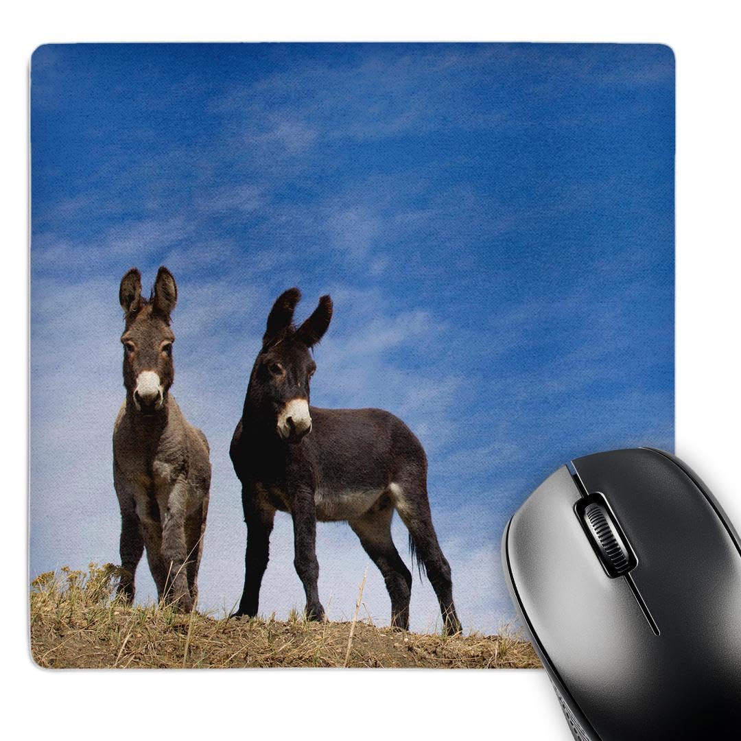 3Drose Burros Cimarron New Mexico USA Mouse Pad - Non-Slip Rubber Base, Smooth Surface for Precise Mouse Control - Perfect for Office, Gaming & Home Computer Use