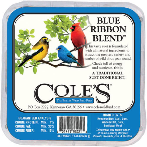 Cole's Blue Ribbon Suet Cakes for Wild Birds - High Energy Bird Food for Woodpeckers, Chickadees & Nuthatches - Perfect for Backyard Bird Feeders in Winter & Cold Weather