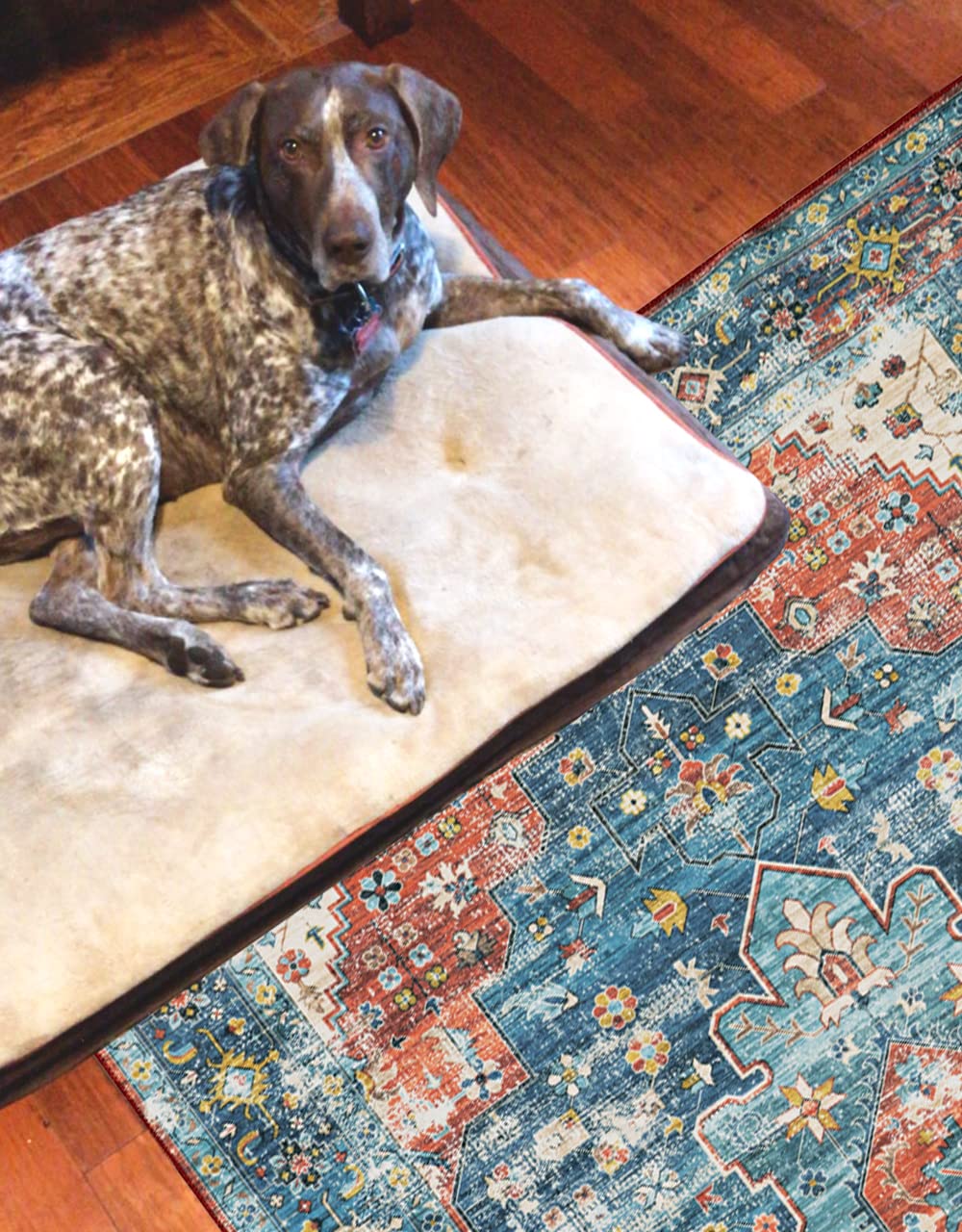 Linon Home Decor Washable Rug 5' x 7' Area Rug - Beasley Teal & Rust Pattern, Non-Slip Soft Indoor/Outdoor Carpet for Living Room, Bedroom, Patio