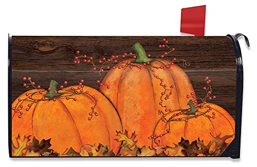 08 - Pumpkin Patch