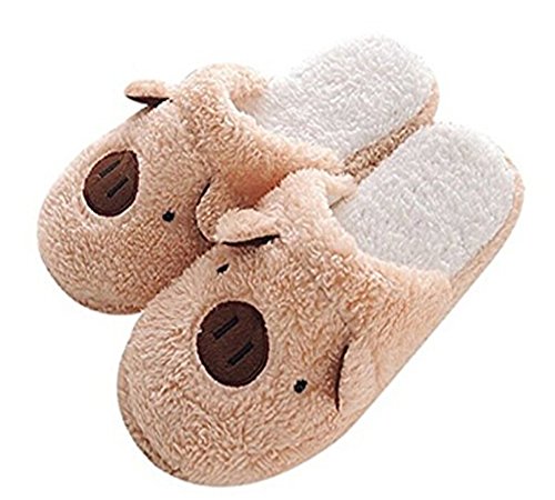 Brown Pig
