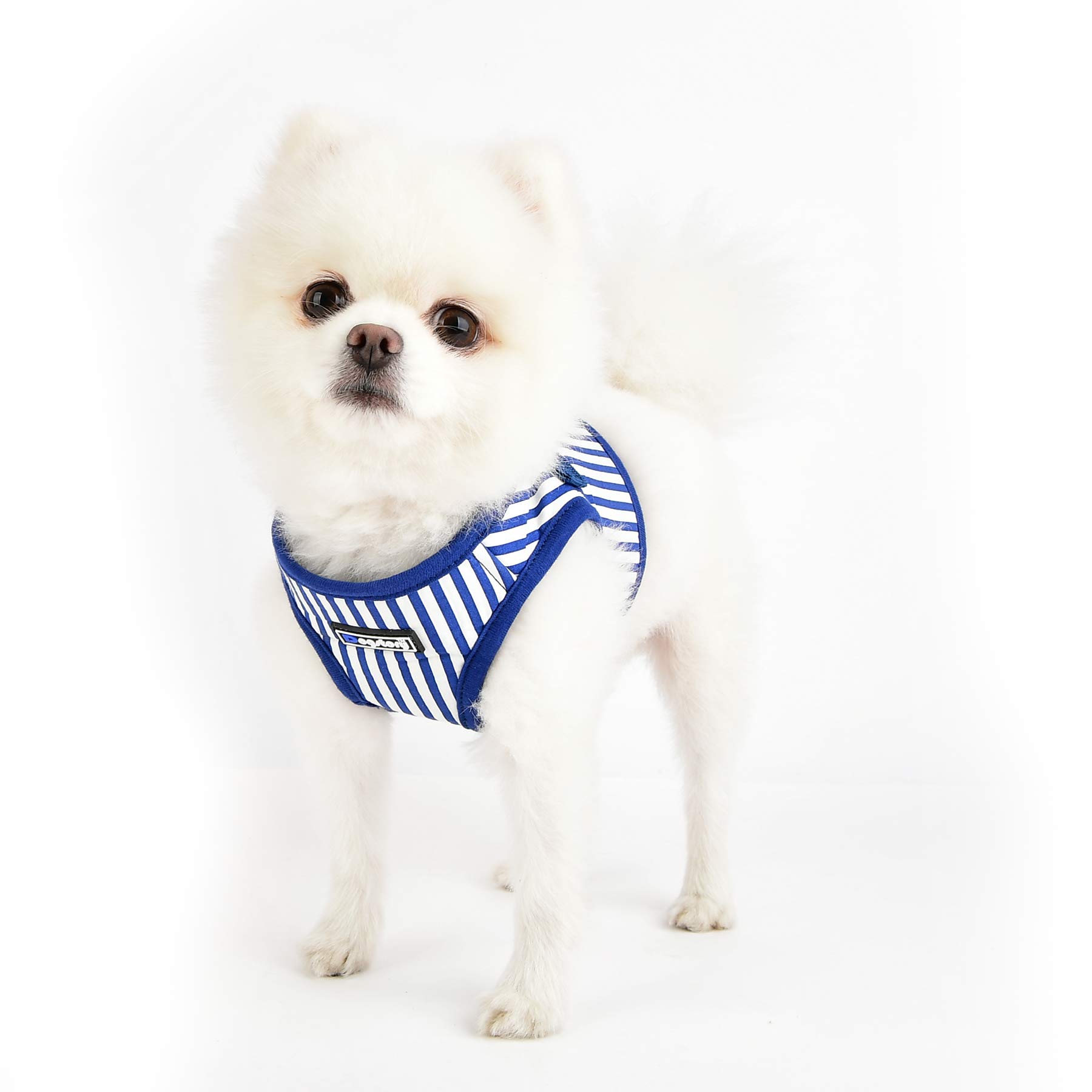 DOG STORY ENZO No-Pull Dog Harness - Adjustable & Reflective, Royal Blue, Large - Perfect for Walking, Running & Outdoor Adventures