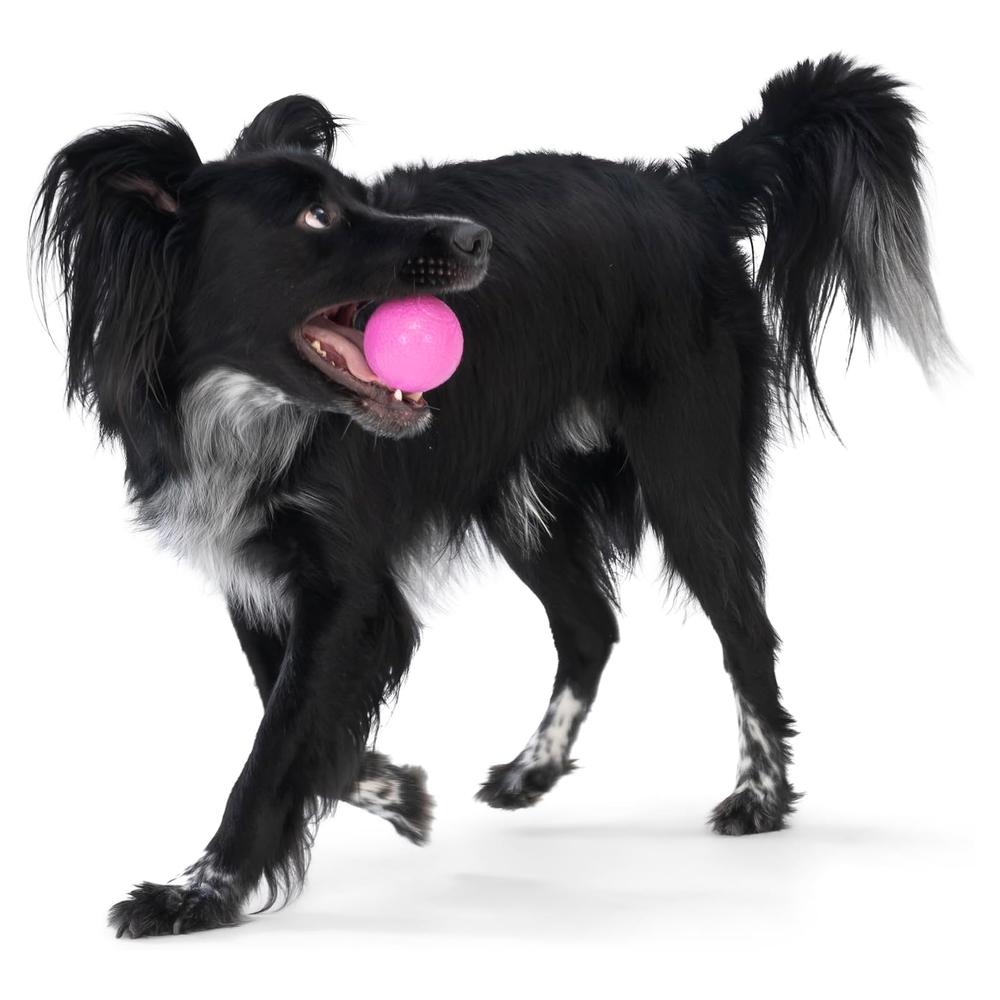 Boundr Dog Ball Toy - Durable Chew Toy for Large & Small Dogs - Perfect for Fetch, Training & Outdoor Play