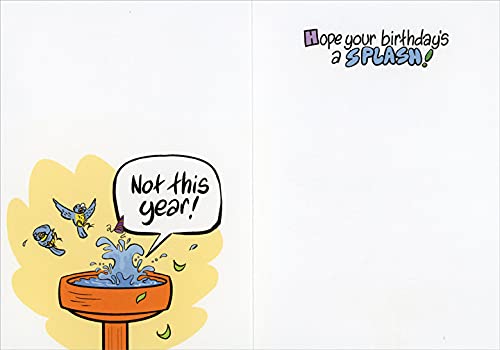 Oatmeal Studios Bird Bath Cannonball Funny Birthday Card - Humorous Greeting Card for Friends & Family - Perfect for Birthdays, Parties & Special Occasions