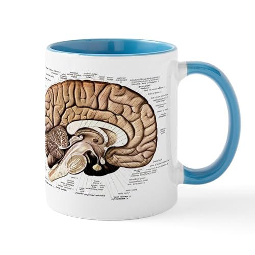 White/Blue Inside - Human Brain Mug