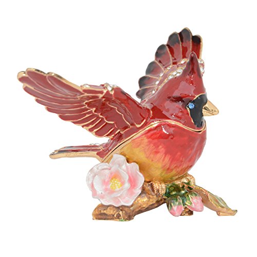 Macaw Parrot Flower