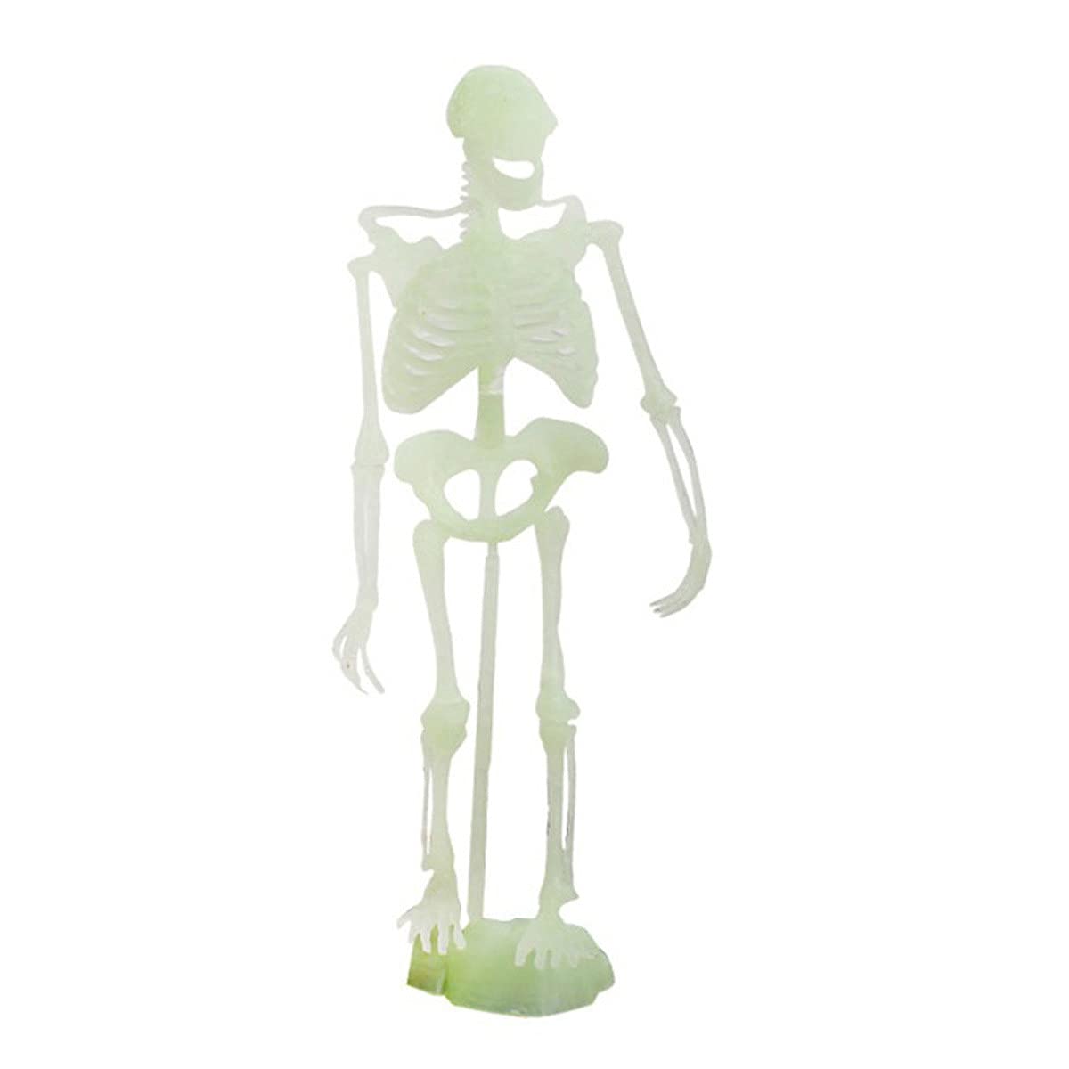 Glow in the Dark Dinosaur Bones Halloween Decor - Realistic Human Skeleton Model for Halloween Party Supplies, Spooky Home Decor & Kids Costume Accessories - Perfect for Haunted House, Classroom Activities & Trick or Treat Events