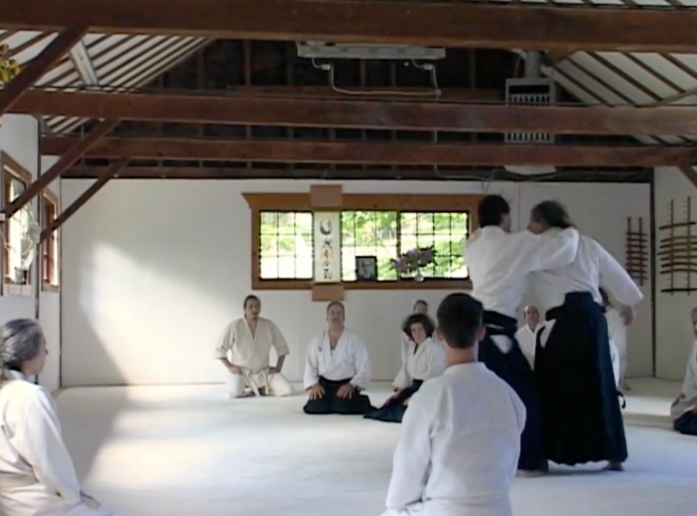 Seiichi Sugano Aikido Weapons Training DVD with Transcript Booklet - Learn Aikido Techniques for Self-Defense & Martial Arts Practice at Home