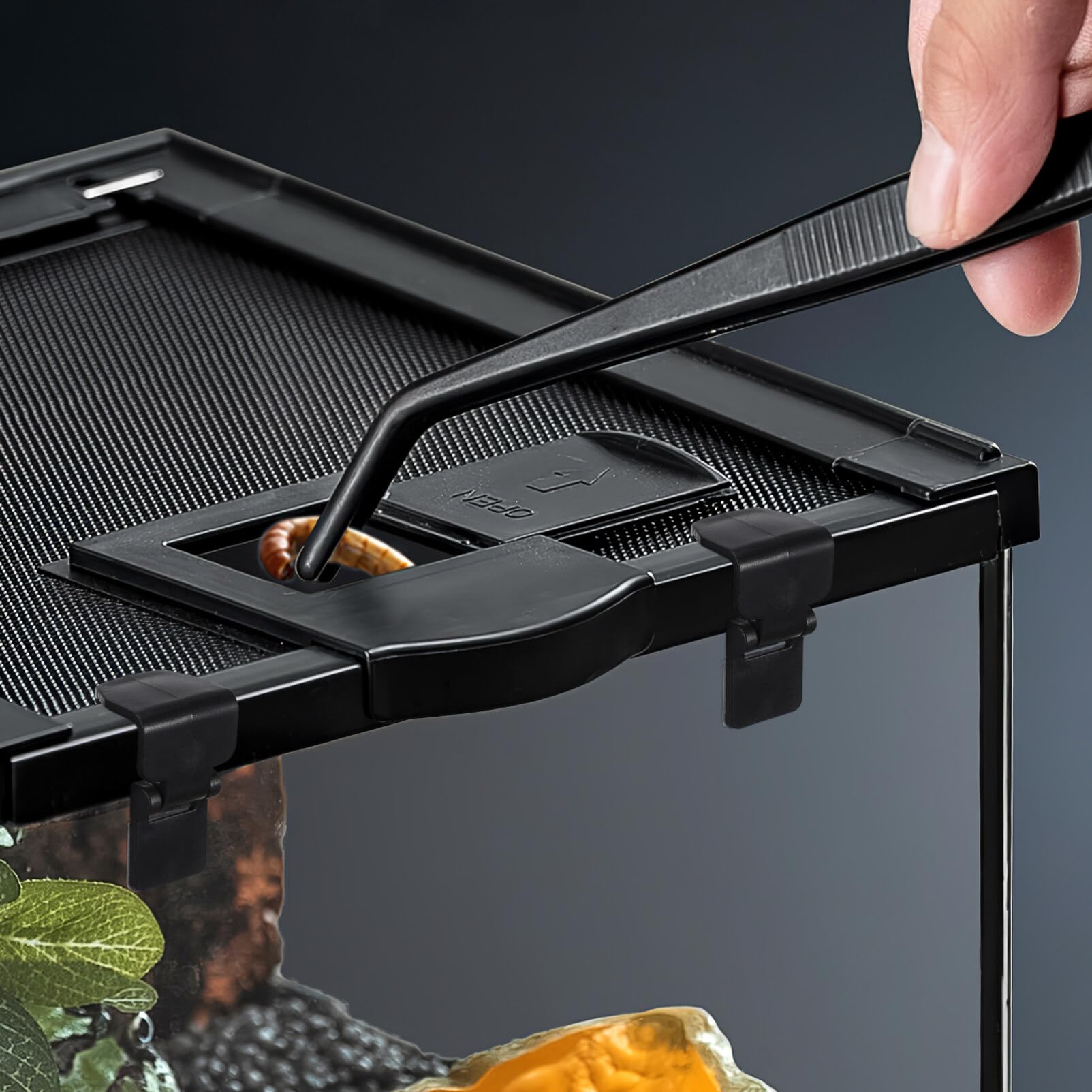 6-Piece Plastic Terrarium Screen Clips - Secure Terrarium Cover Clips & Escape-Proof Buckle Latches for Reptile Enclosures & Food Storage Containers | Ideal for Reptile Habitats, Gardening, and Kitchen Organization