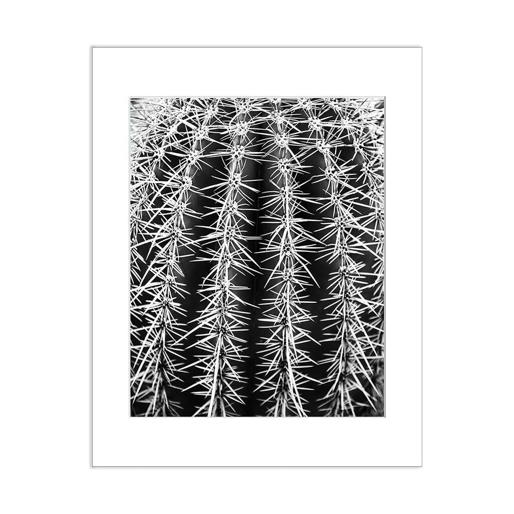 Stunning Saguaro Cactus Photography Print - Southwest Arizona Desert Landscape Wall Art for Home & Office Decor | Nature Canvas Wall Decor Perfect for Living Room, Bedroom or Office Spaces