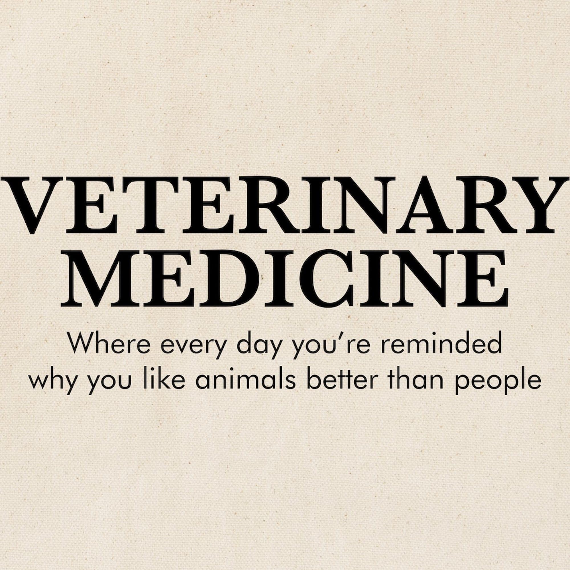 Veterinary Medicine Animals Better Than People Tote Bag - Natural Canvas Reusable Shopping Bag for Vet Clinics, Pet Lovers & Grocery Trips