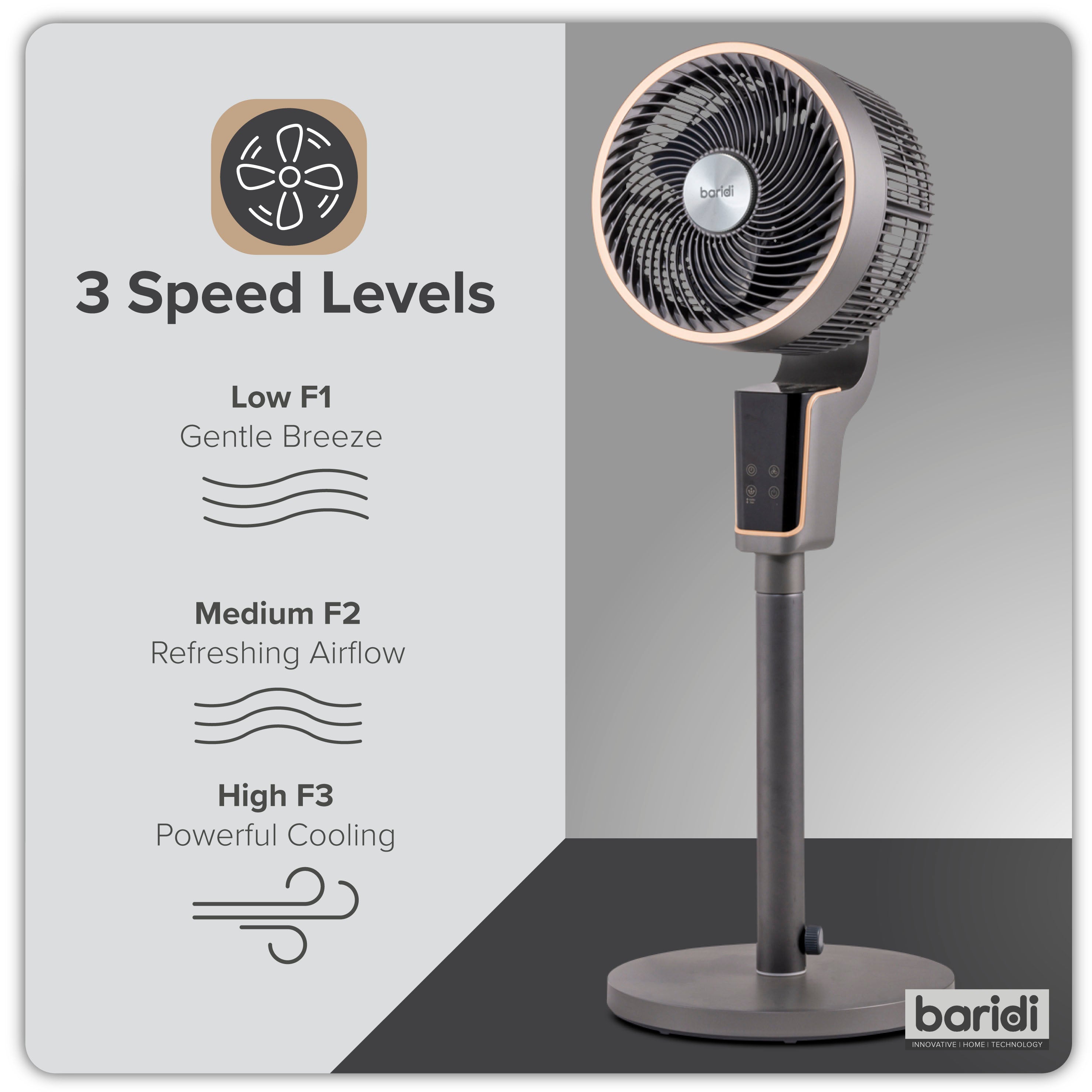 Baridi 12