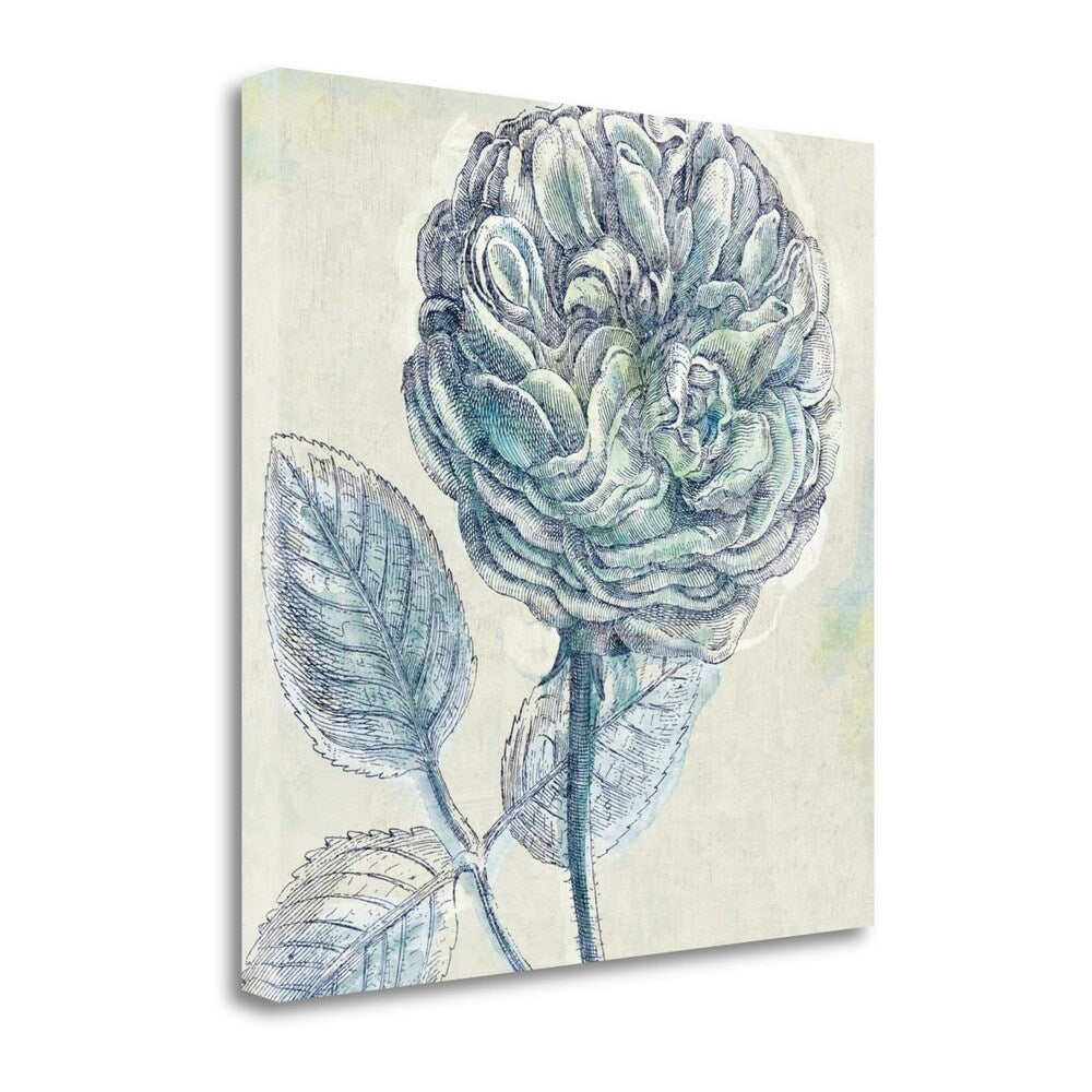 Belle Fleur III by Sue Schlabach - Premium Giclee Art Print on Gallery Wrapped Canvas, Framed & Ready to Hang - Perfect for Living Room, Bedroom, or Office Wall Decor