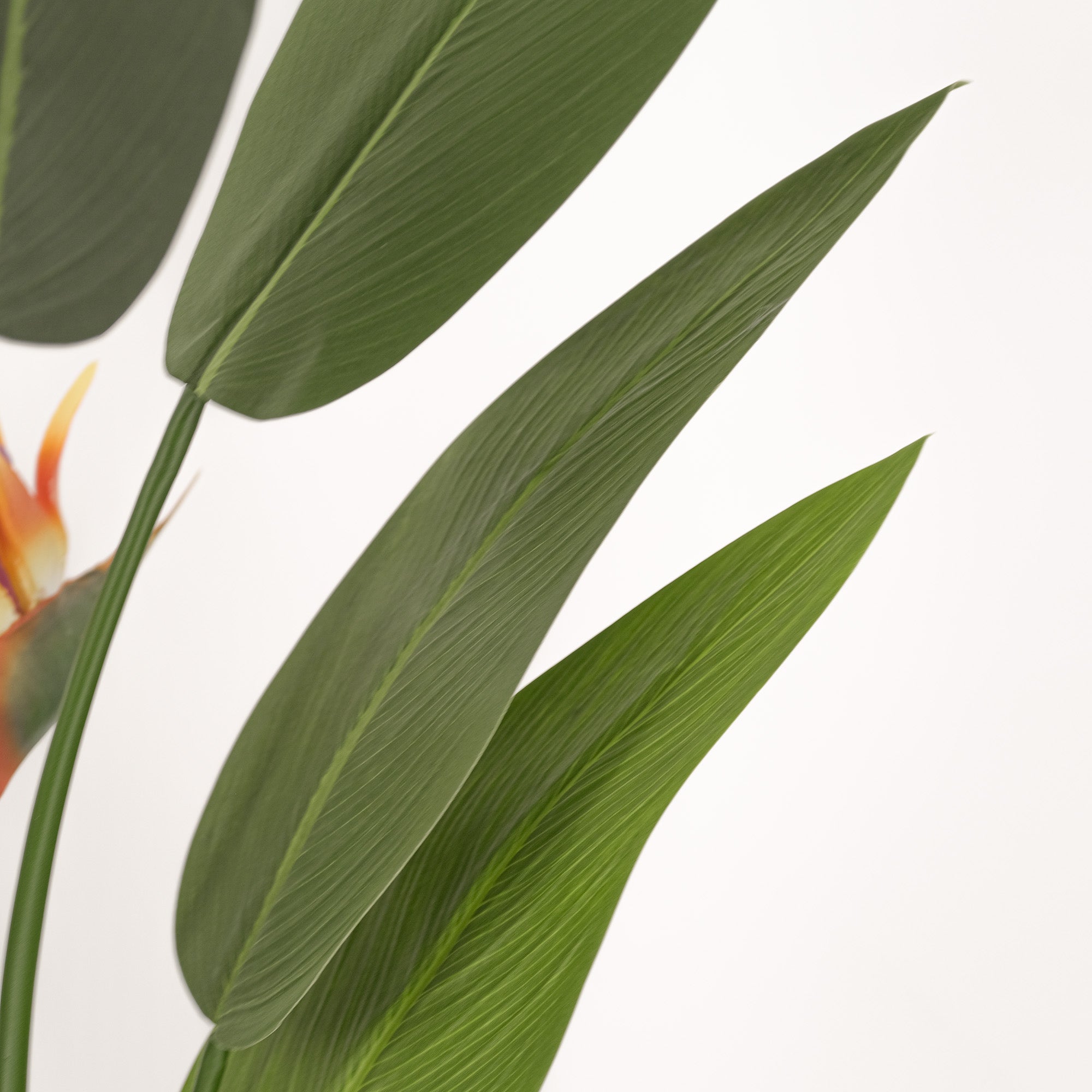 Premium Large Artificial Bird of Paradise Plant with Flowers - 47