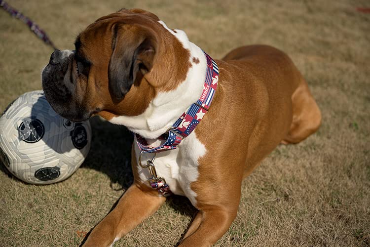 Country Brook Design - Patriotic Spirit of '76 Polyester Webbing for DIY Crafts, Dog Collars & Home Decor | Red White & Blue Striped Fabric for July 4th, Memorial Day & Veterans Day Celebrations