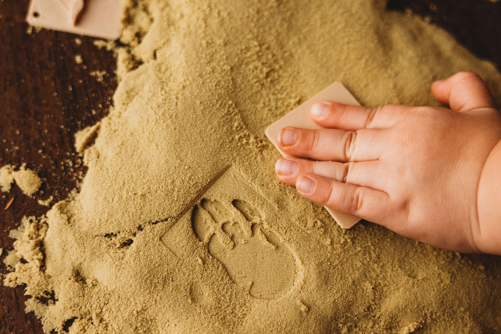Dinosaur Footprint Eco-Friendly Stamp Set for Kids - Creative Arts & Crafts, Scrapbooking, and DIY Projects