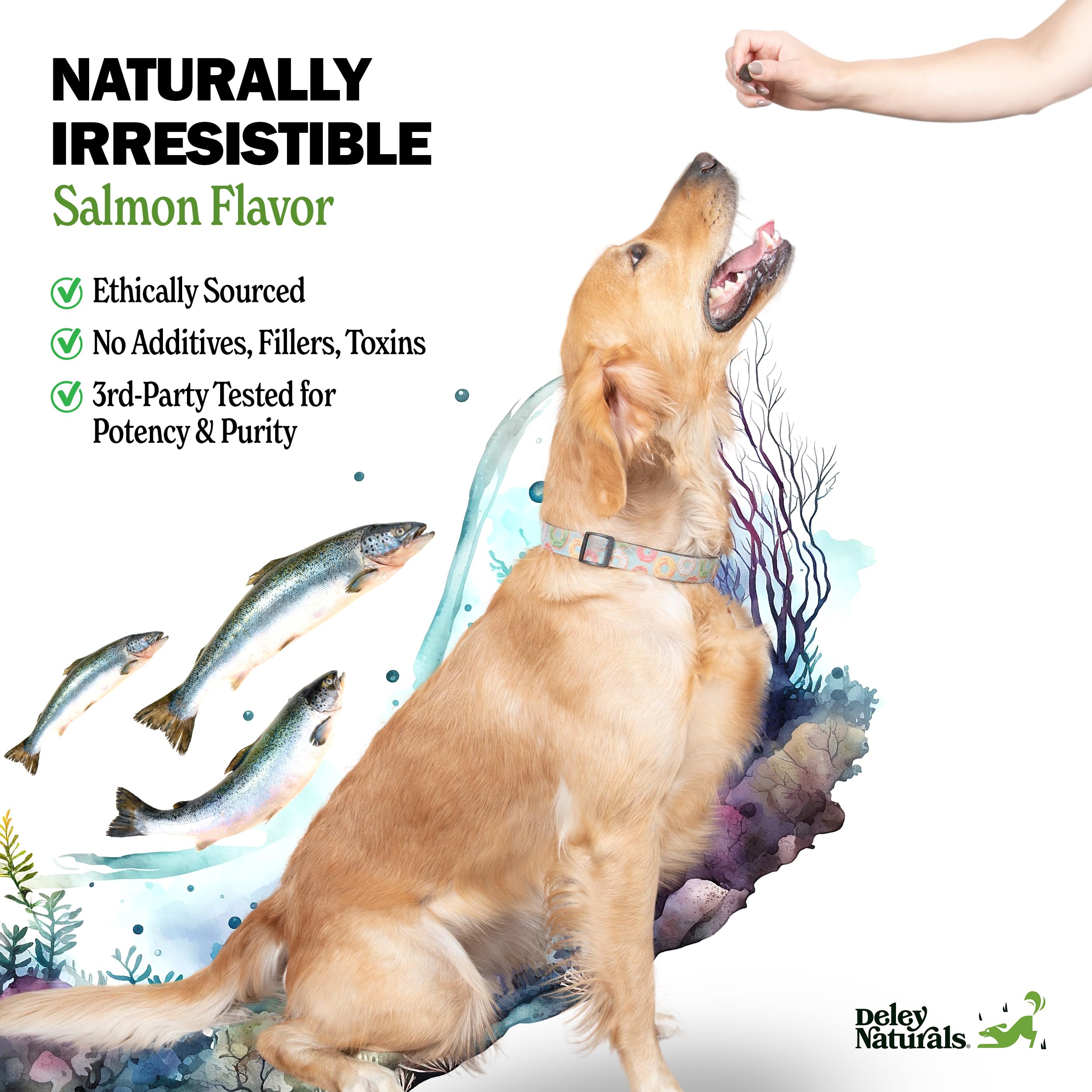 Deley Naturals Dog Chews for Skin and Coat - Omega 3 Fish Oil Supplement with DHA, EPA, Biotin & Collagen - Allergy Relief for Dogs - Itch & Dry Skin Support - Vitamins C, E & Zinc - 90 Soft Chews for Small, Medium & Large Dogs - Perfect for Daily Skin & Coat Care