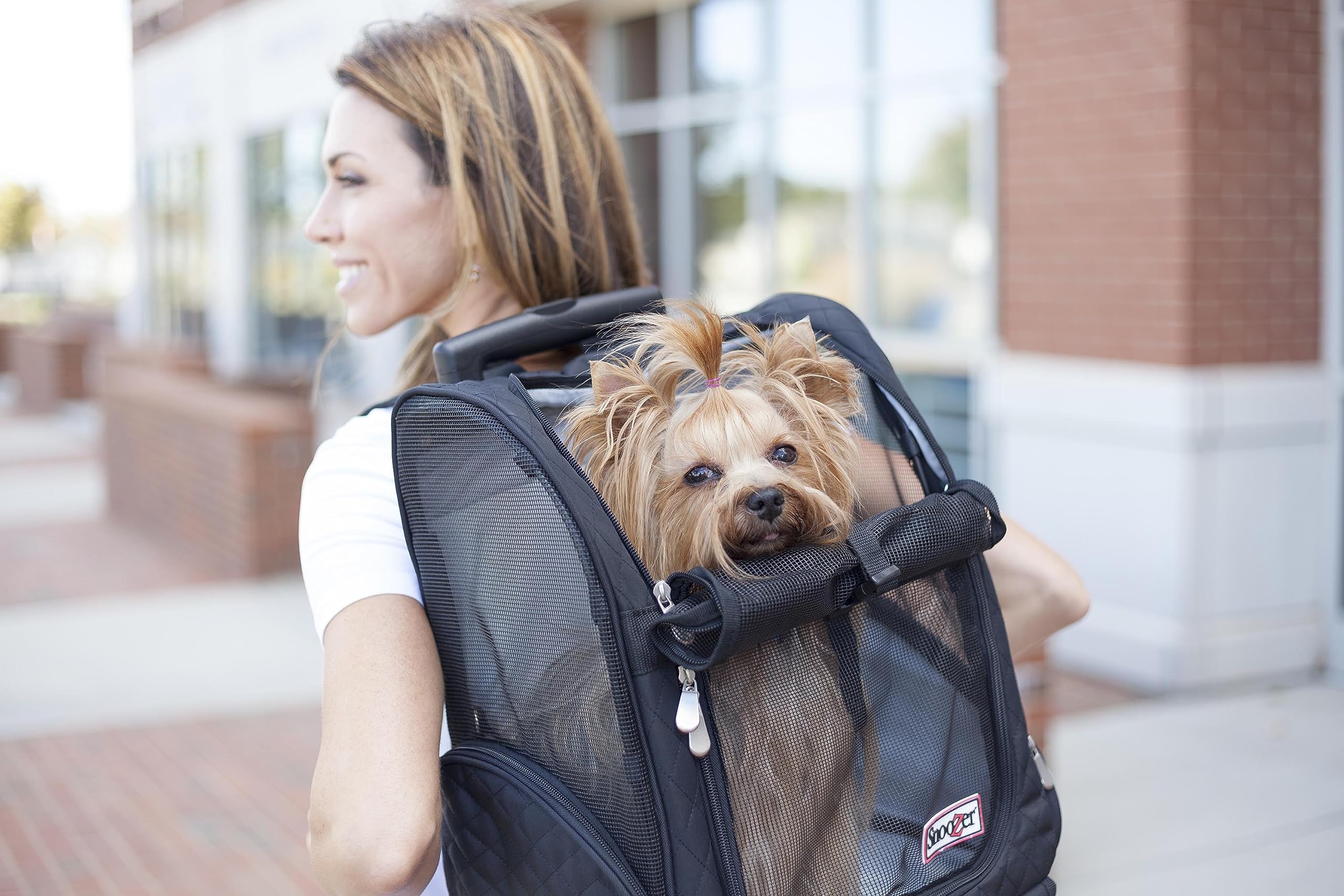 Snoozer 4-in-1 Roll Around Travel Dog Carrier Backpack - Convertible Pet Stroller & Travel Bag for Cats & Dogs Up to 30 Lbs (Large, Black & Grey) - Perfect for Air Travel, Road Trips & Outdoor Adventures