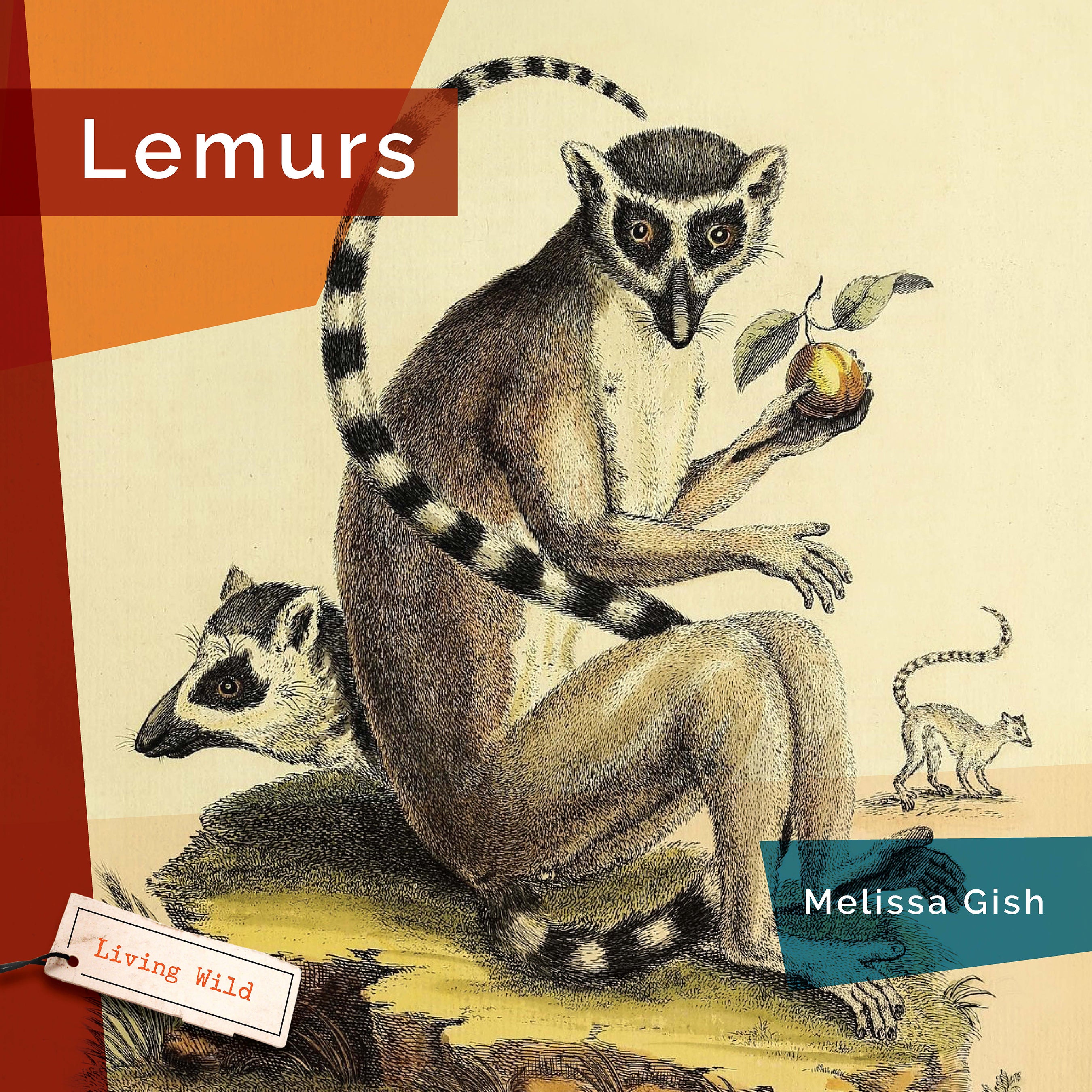 Lemurs Book 9781640267909 - Wildlife Education, Animal Facts & Nature Exploration for Kids & Adults - Perfect for School Projects, Home Learning & Animal Lovers