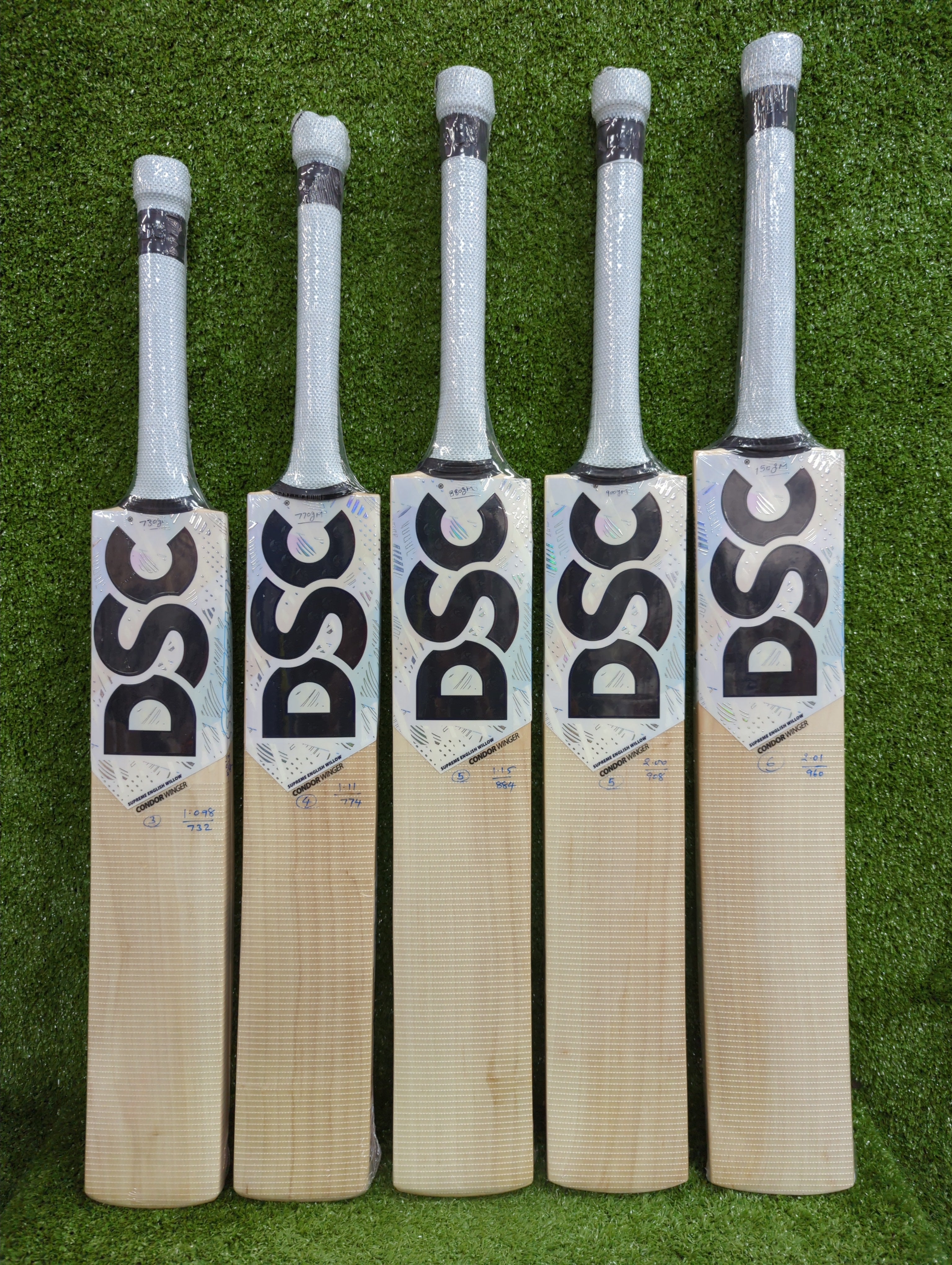 DSC Condor Winger Junior/Youth Cricket Bat - English Willow - Perfect for Kids Cricket Practice & Matches