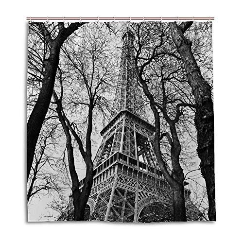 Eiffel Tower Paris