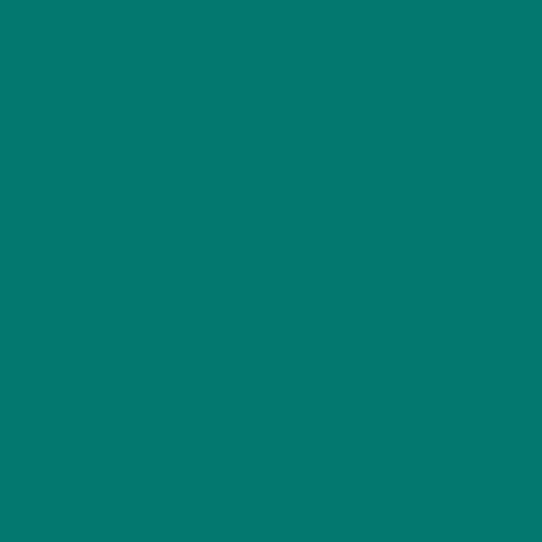 1 Pack - Pine Green | Pro