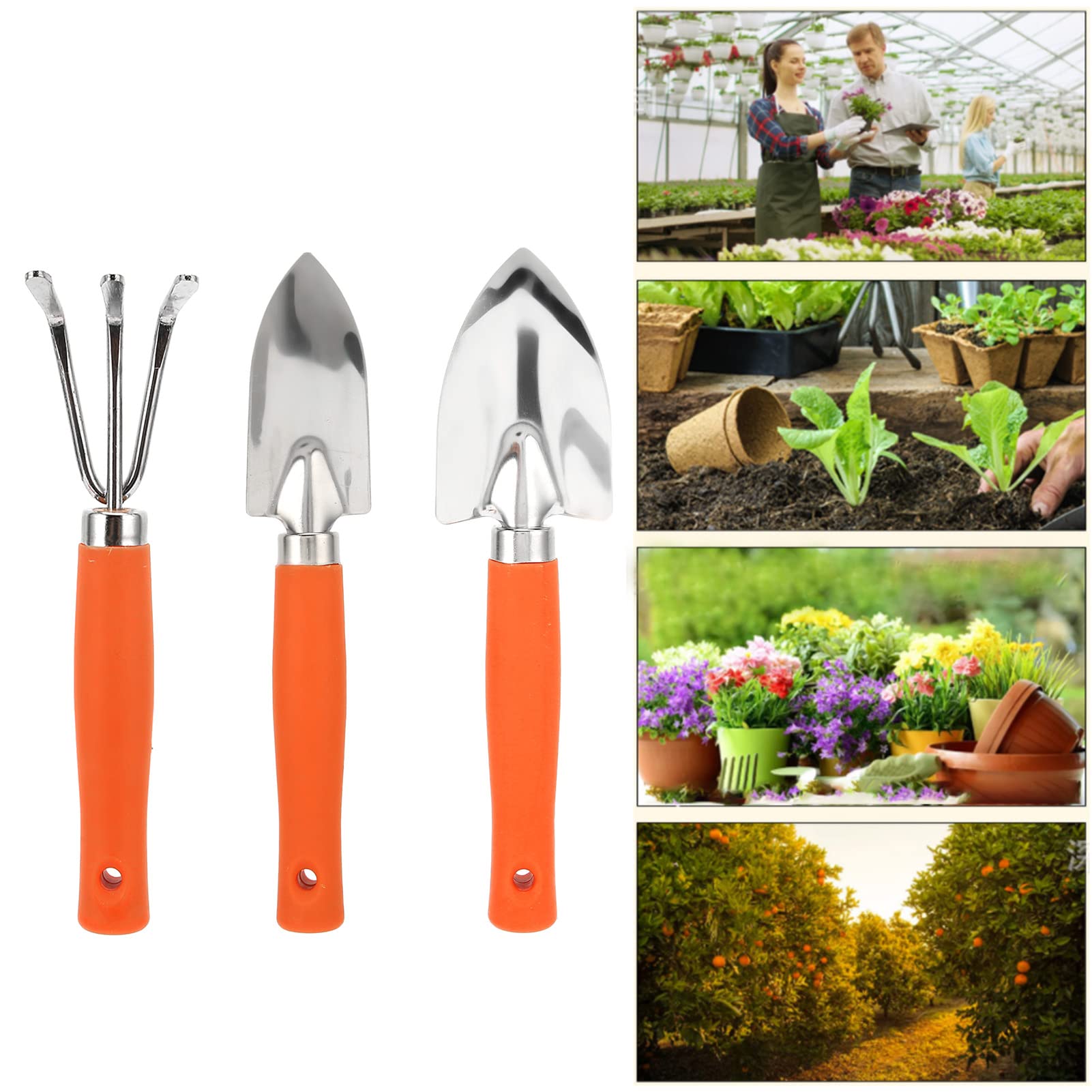 Mokylor 3-Piece Stainless Steel Garden Tool Set for Women - Mini Hand Shovel, Trowel, Cultivator for Succulents, Indoor Plants & Small Gardening Projects | Perfect for Home, Office & Gift Giving