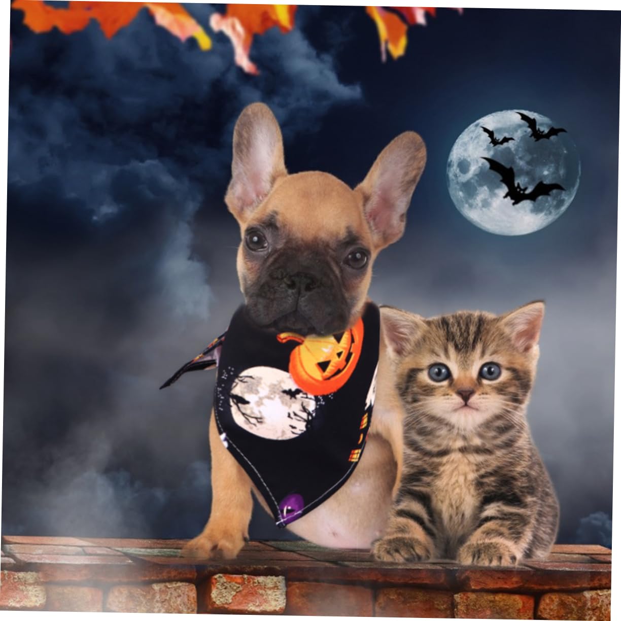 6 Pcs Halloween Pet Bandanas - Custom Triangle Scarf for Dogs, Witch Bibs with Pearlescent Lip Gloss Design | Perfect for Halloween Costumes, Pet Parties & Photo Shoots