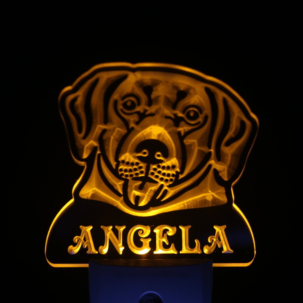 ADVPRO ws1073-tm Personalized Labrador Retriever Night Light with Name - LED Dog Sign with Day/Night Sensor | Perfect for Pet Lovers' Bedroom, Nursery & Gift Giving