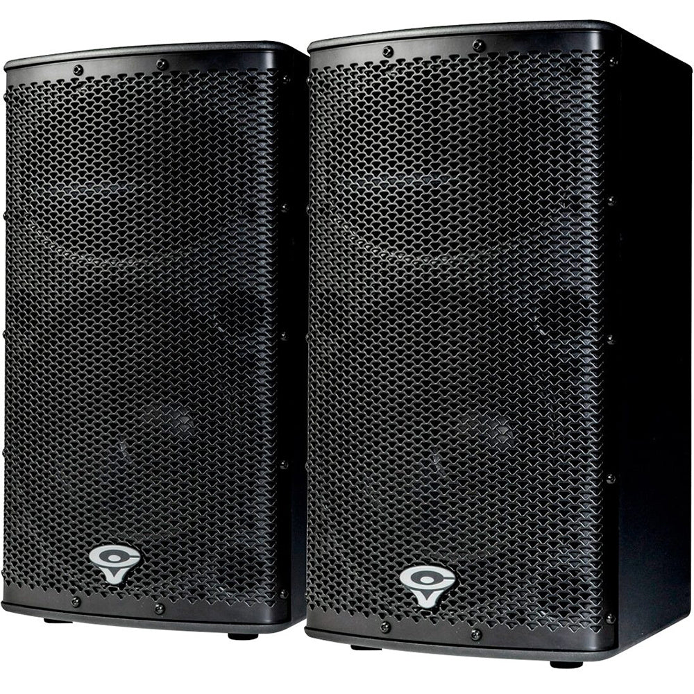 Cerwin Vega P1000X 10-Inch Woofer with 1.75-Inch Horn Compression Driver - High Power PA Speaker for Live Music, DJ Performances & Outdoor Events
