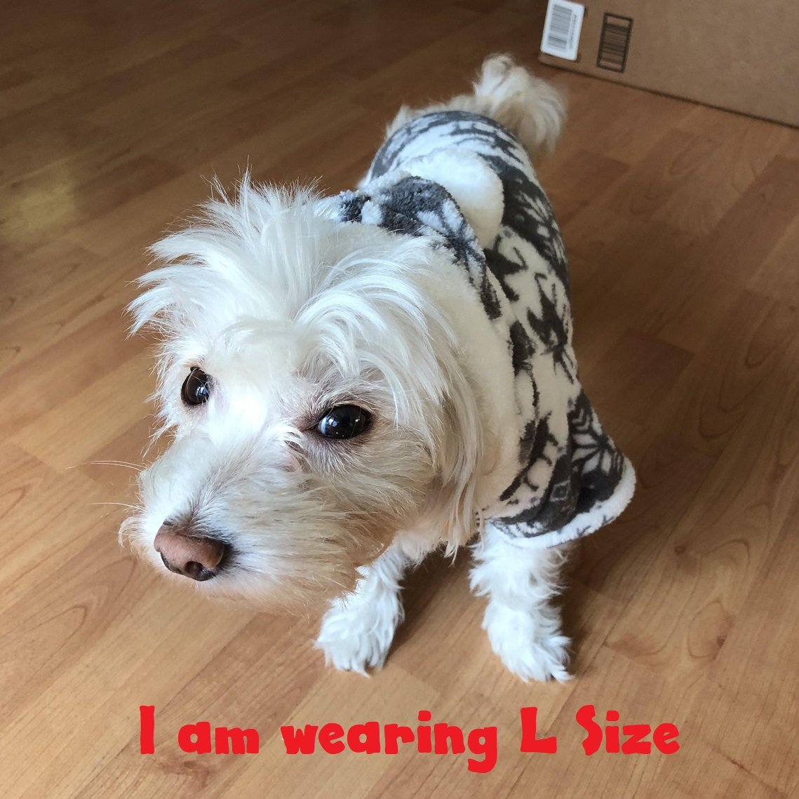 PetParty® Soft & Cozy Dog Hoodie Jumpsuit - Warm Fleece Dog Coat for Small & Medium Dogs - Perfect for Winter Walks, Outdoor Adventures & Indoor Lounging