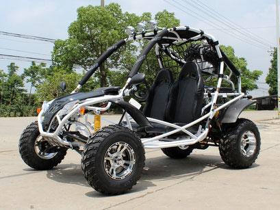 Jaguar 200 Go Kart - High Performance Racing Kart for Adults & Teens - Perfect for Outdoor Racing, Track Days & Backyard Fun