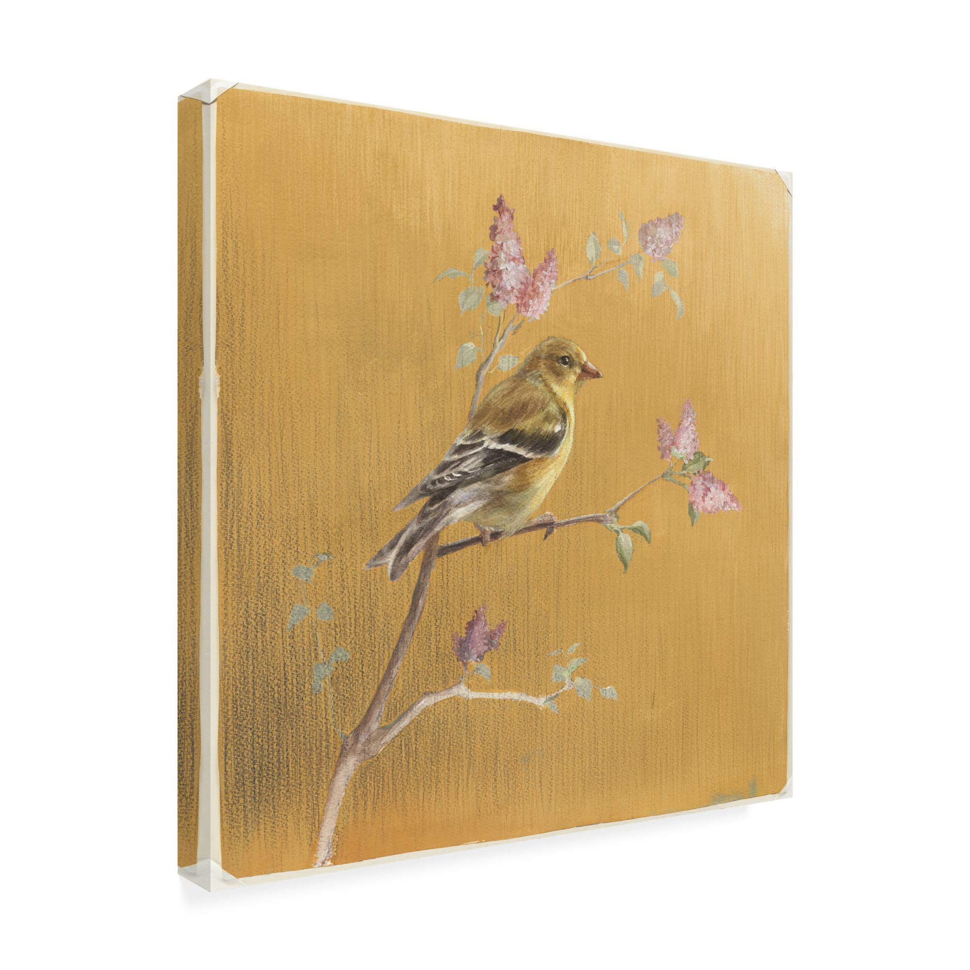Danhui NAI Goldfinch on Gold 18x18 Fine Art Print - Elegant Home & Office Wall Decor, Perfect for Living Room, Bedroom, or Gift