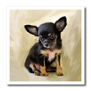 3D Rose HT-4467-2 Chihuahua Puppy Iron-On Heat Transfer Decal - 6