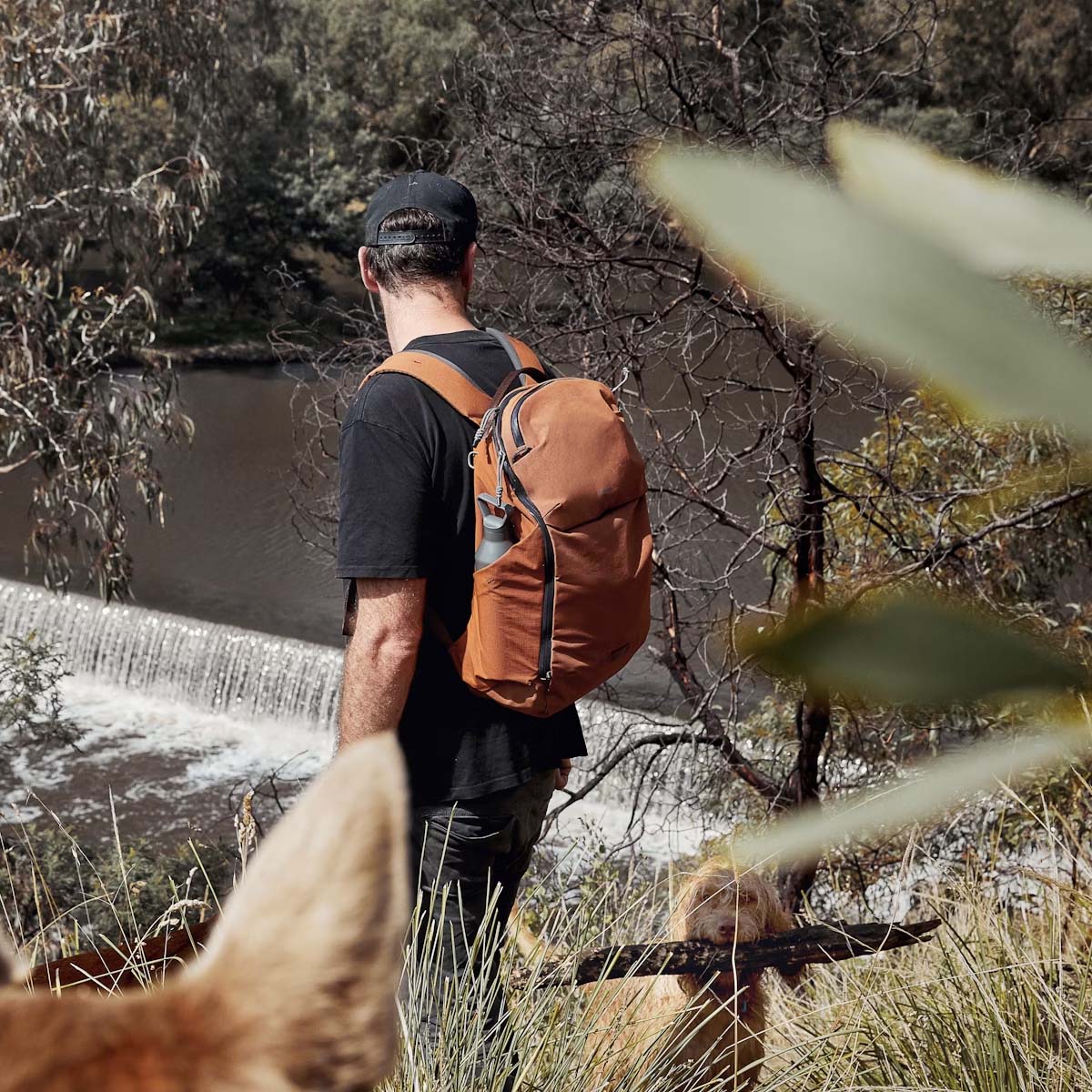 Bellroy Venture Ready Pack 26L - Waterproof Hiking Backpack for Men & Women, Lightweight Travel Daypack with Laptop Sleeve - Perfect for Outdoor Adventures, Commuting & Business Travel