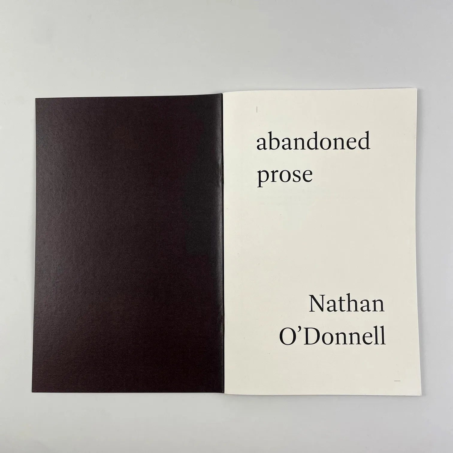 Abandoned Prose by Nathan O'Donnell - Literary Fiction Novel | Perfect for Book Clubs, Gifts & Thought-Provoking Reading